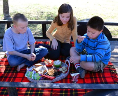 New-Years-Day-Picnic-2